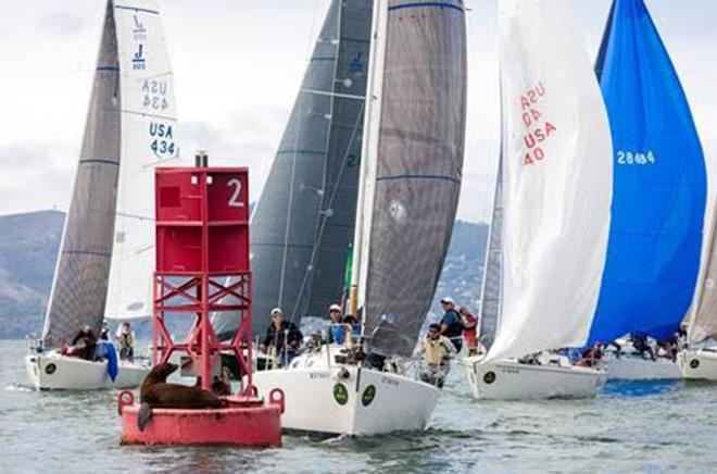 Peter Wagner racing his J/105 Nantucket Sleighride during the 2013 Rolex Big Boat Series. Wagner will be returning to the event this year with his newly acquired J/111 Skeleton Key. ©  Rolex/Daniel Forster http://www.regattanews.com